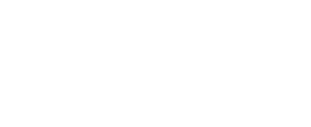 Cardic Automotriz