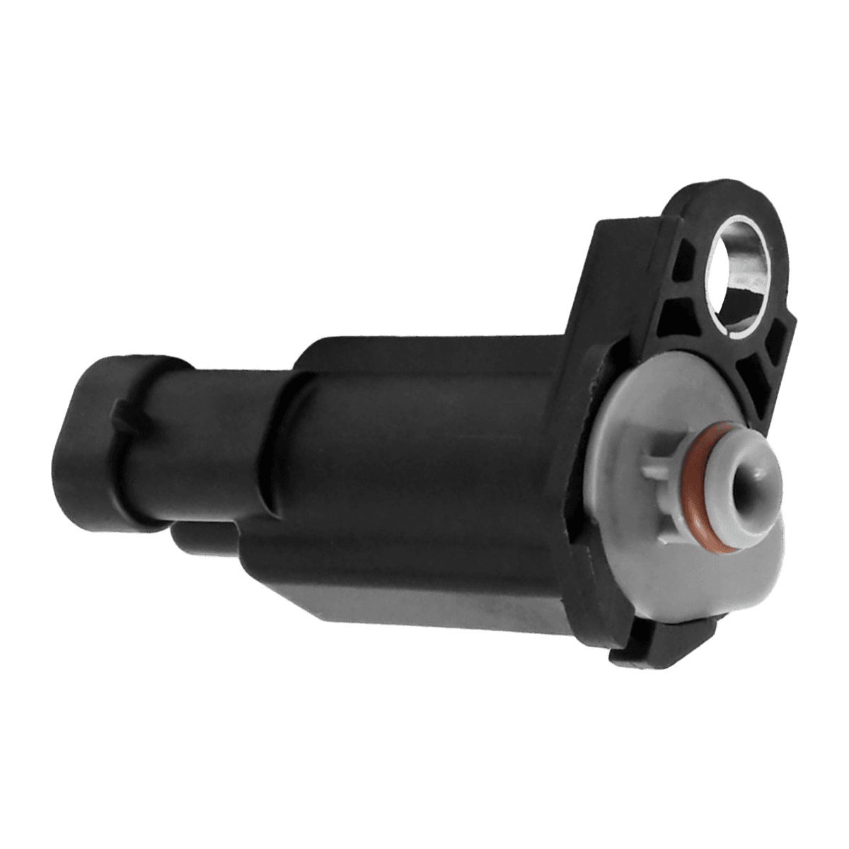 Válvula canister